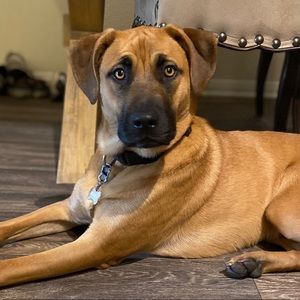 Meet your Posher, Jill